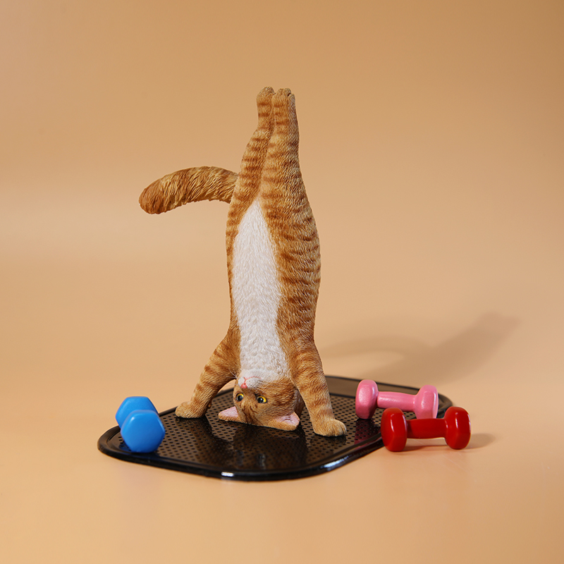 1/6 Scale Mini Simulated Fitne - Yoga In Fitness First avaliação e preço